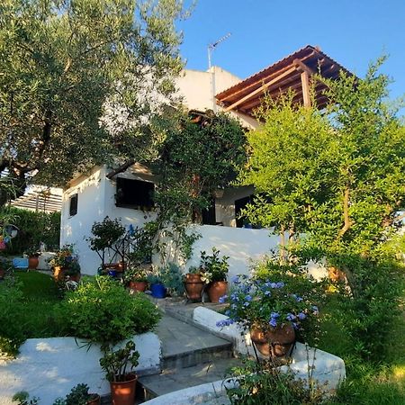 Sonia'S House With Garden Villa Gerakini Ngoại thất bức ảnh