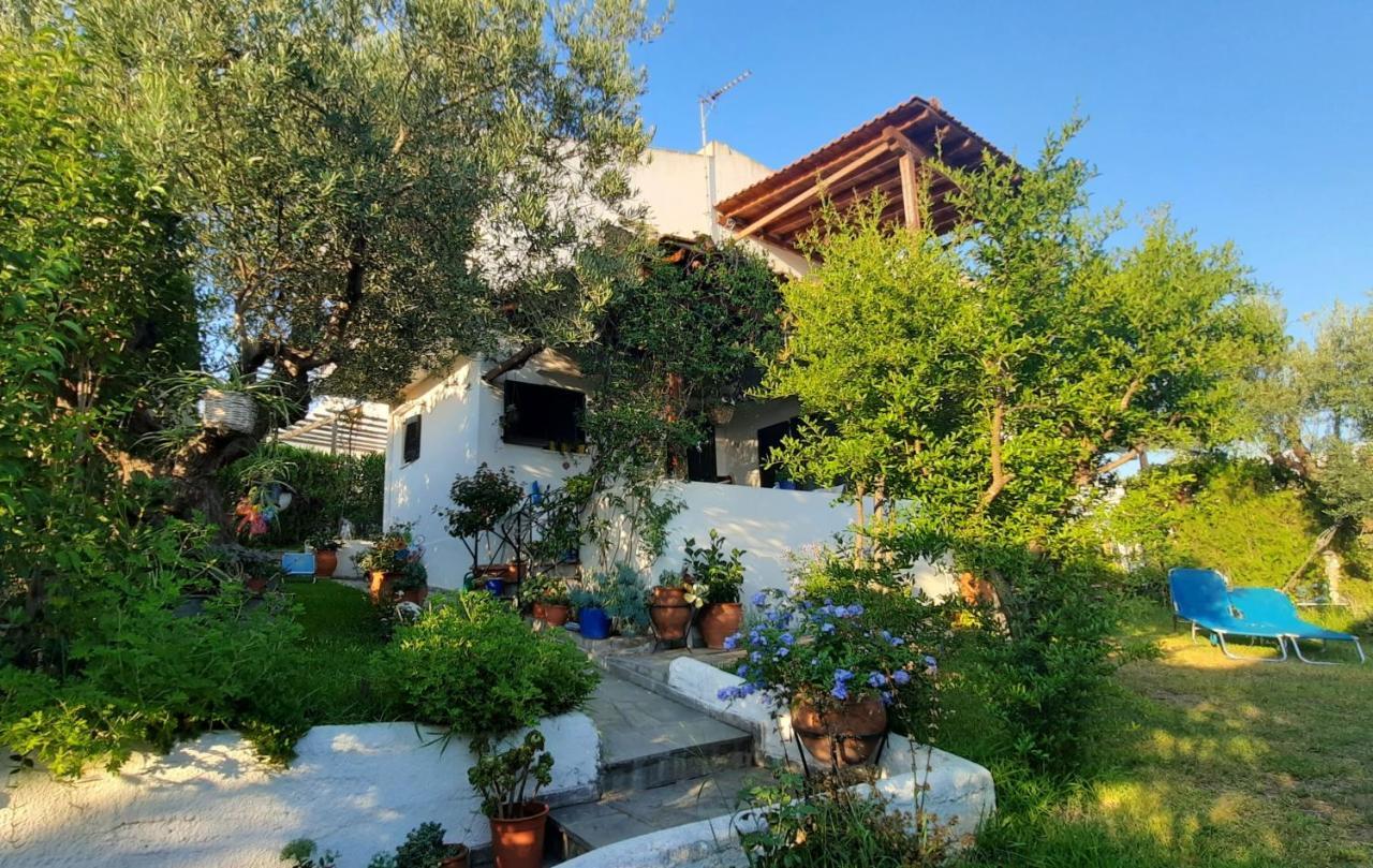Sonia'S House With Garden Villa Gerakini Ngoại thất bức ảnh
